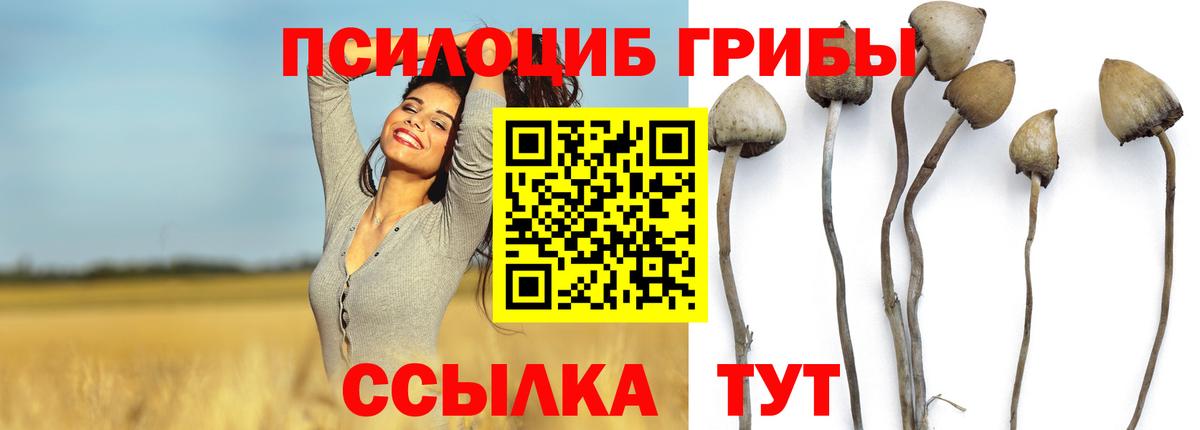 Галлюциногенные грибы GOLDEN TEACHER  Галлюциногенные грибы прущие грибы  Печора  Вход с VPN 